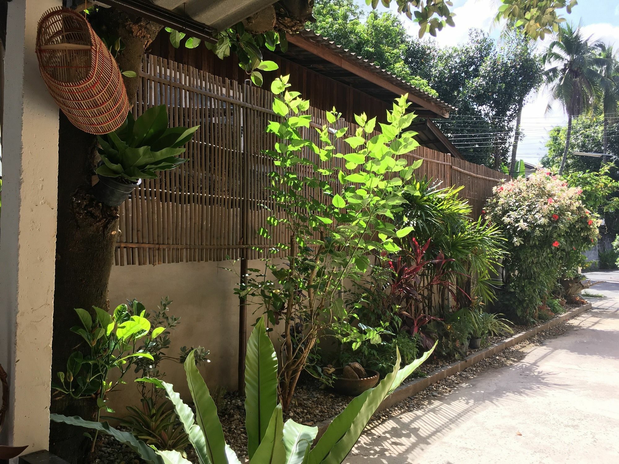 Him Dara Homestay Chiang Mai Exterior photo